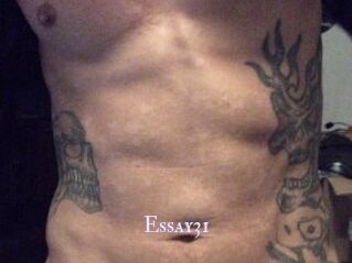 Essay31