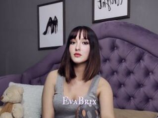 EvaBrix