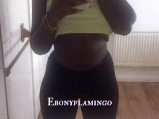 Ebony_flamingo