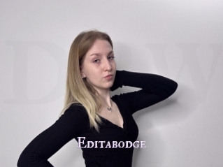 Editabodge