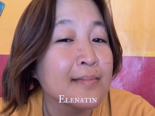Elenatin