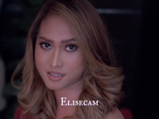Elisecam