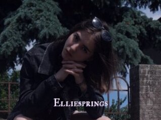 Elliesprings
