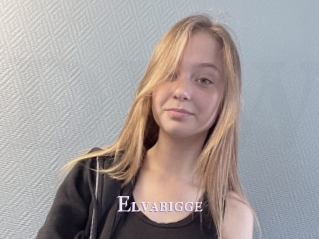 Elvabigge