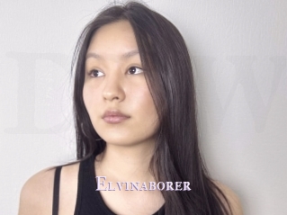 Elvinaborer