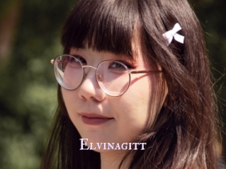 Elvinagitt