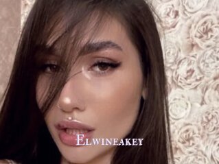 Elwineakey