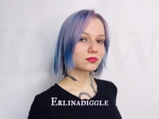 Erlinadiggle