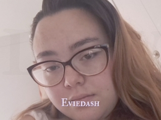 Eviedash