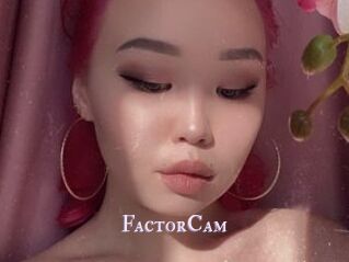 FactorCam