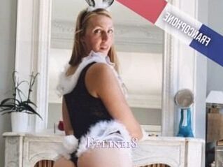 Feline18