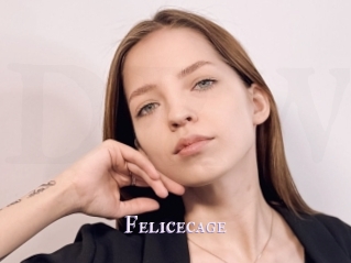 Felicecage