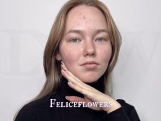 Feliceflowers
