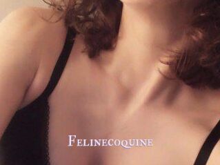 Felinecoquine