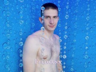 Felixgunn