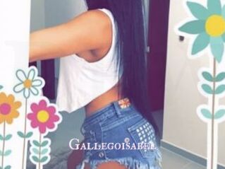 Gallegoisabel