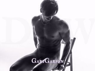 GaryGarsun