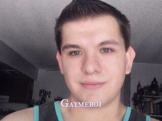 Gaymeboi