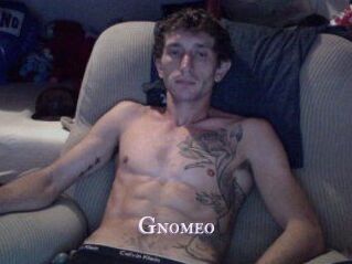 Gnomeo