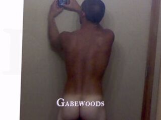 gabewoods X Drow