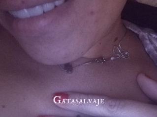 Gatasalvaje