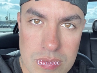 Gatoccc
