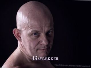 Gaylekker