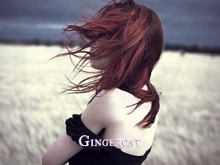 Gingercat