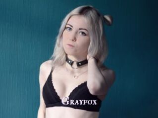 Grayfox