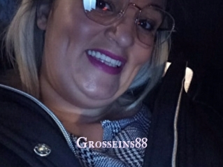 Grosseins88