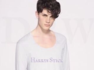 Harrys_Stick