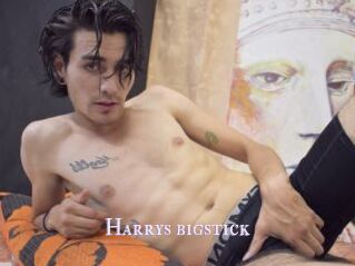Harrys_bigstick