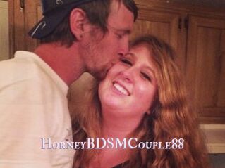 HorneyBDSMCouple88