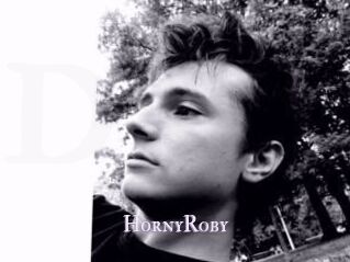 HornyRoby