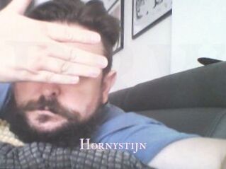 Hornystijn