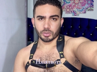 Hairyboyx