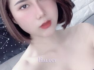 Halucy