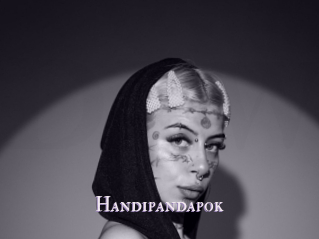 Handipandapok