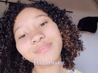 Hantamarie