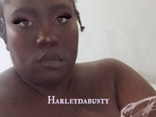 Harleydabusty