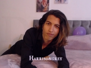 Harrisongrey