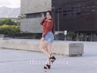Hillarytunner