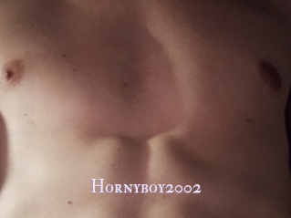 Hornyboy2002