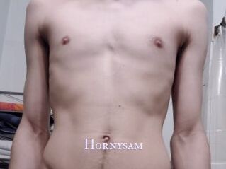 Hornysam