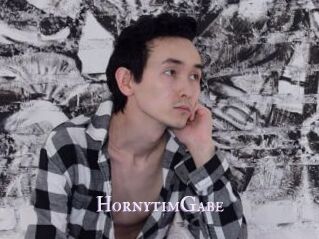 HornytimGabe