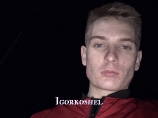 Igorkoshel