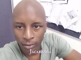 Jacaranda