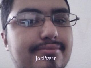 JoePuppy