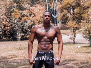 JoshMegans