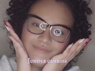 Juniper_camrose